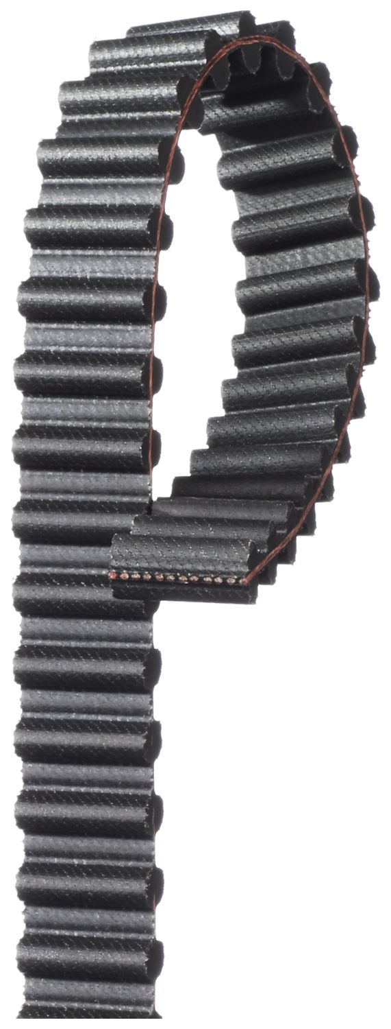 T293-Premium Automotive Timing Belt 1