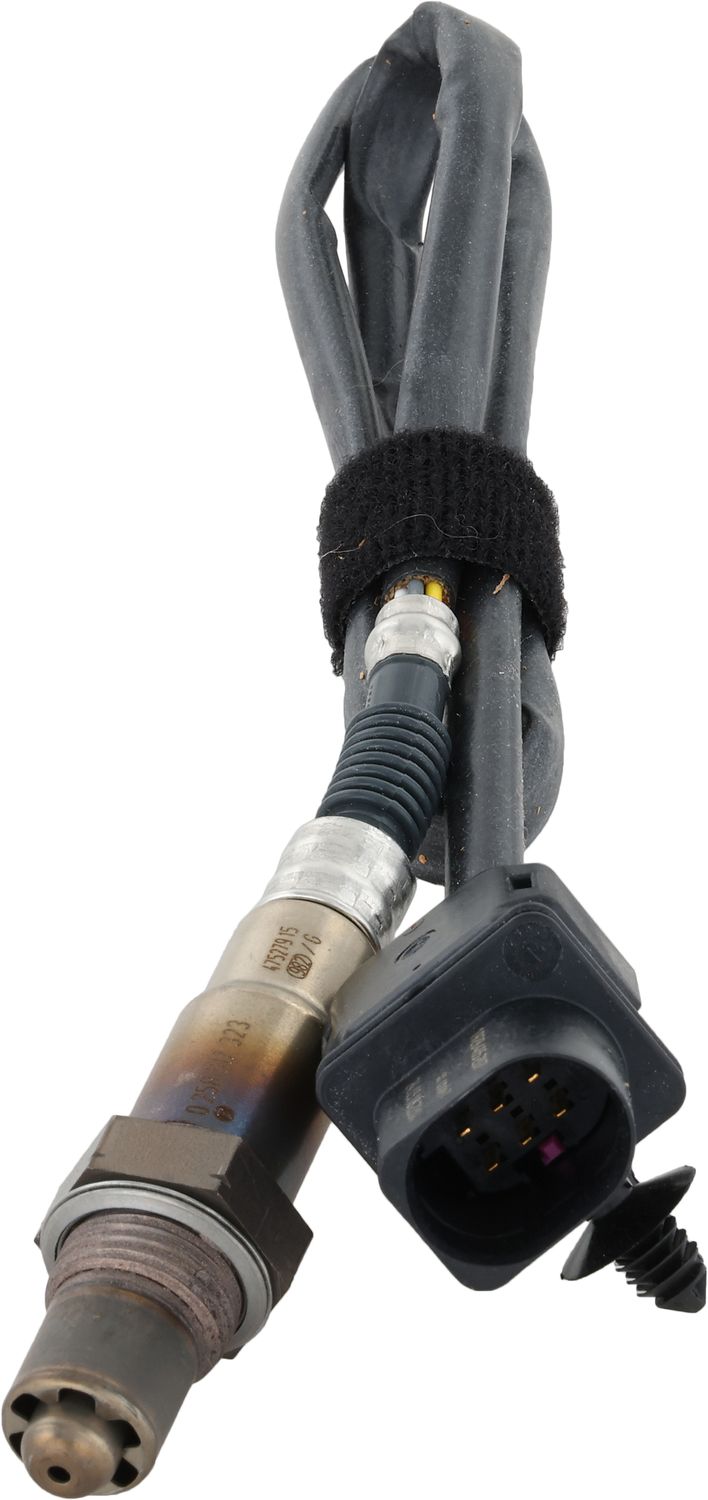 Oxygen Sensor