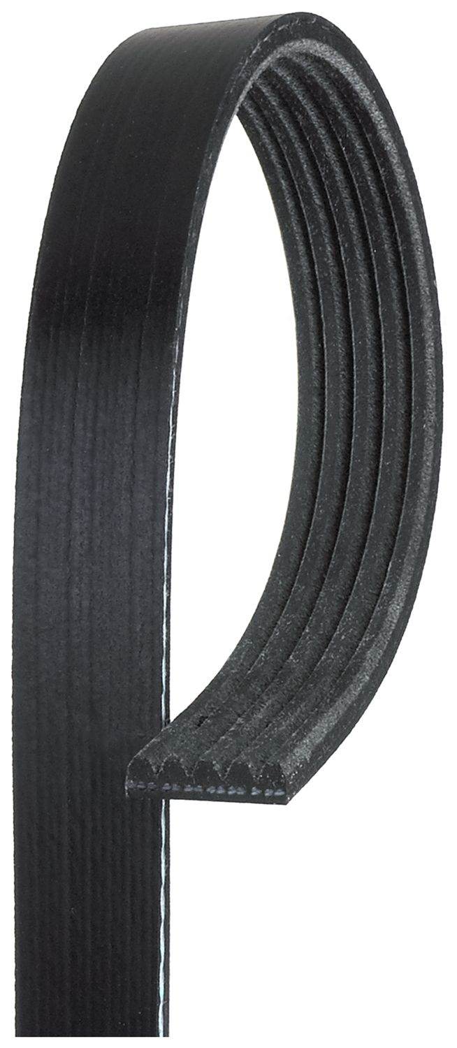 K050355-Micro-V Serpentine Drive Belt 1