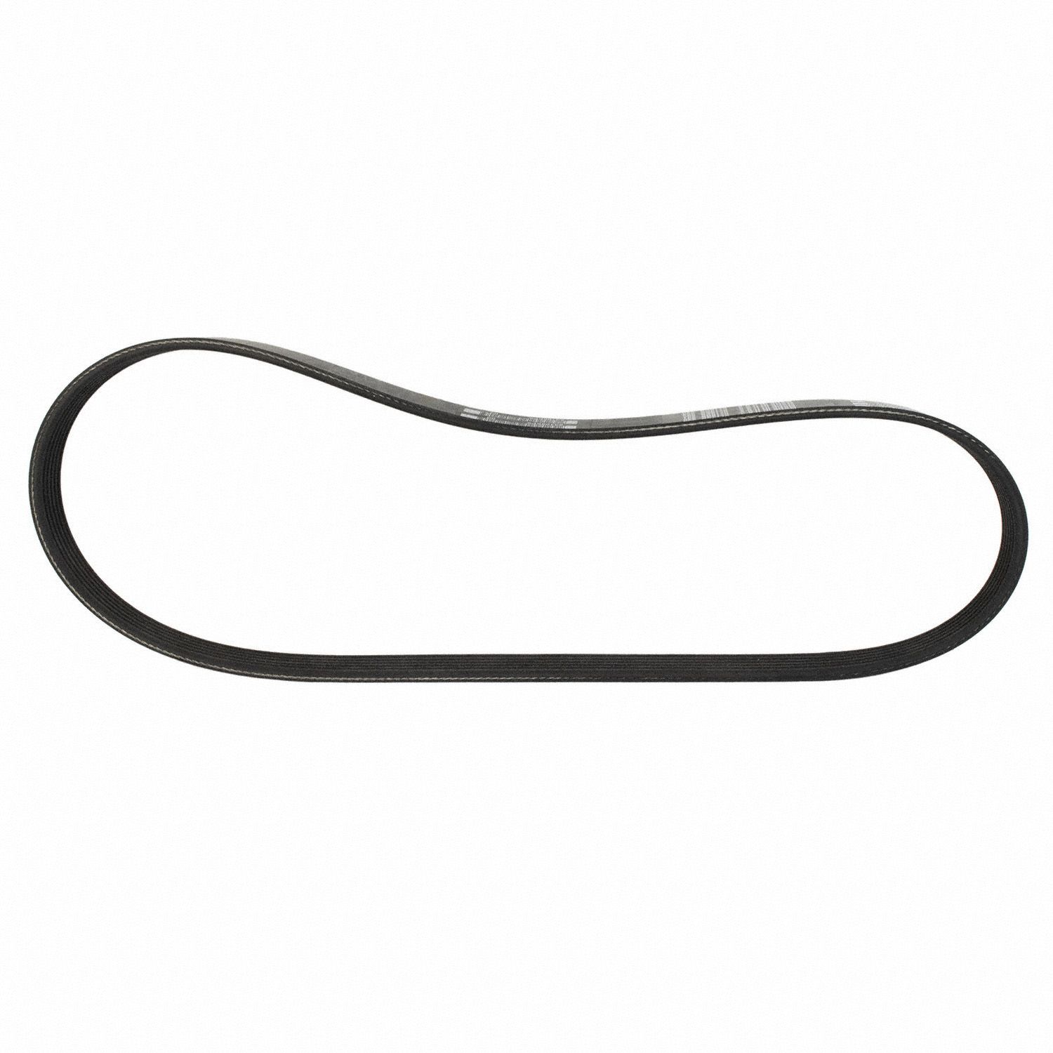 Serpentine Belt Motorcraft 317-JK6-295