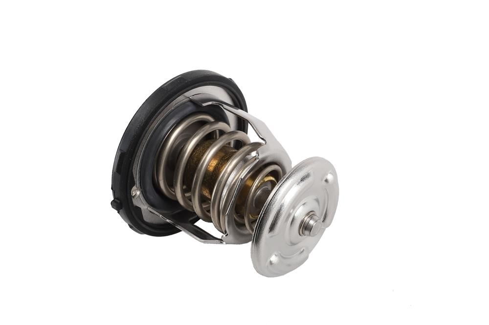 Thermostat ACDelco 4-19420815