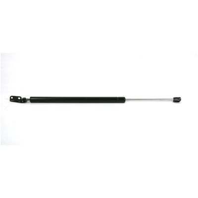 StrongArm C6206L Liftgate Lift Support