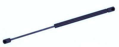 Tuff Support 611899 Back Glass Lift Support