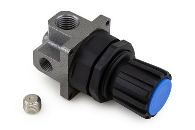 Pressure Regulator, 1/4" Port, 0-120 PSI Relieving, Locking Knob