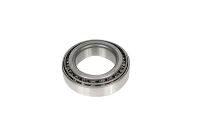 GM Genuine Parts S1380 Differential Bearing