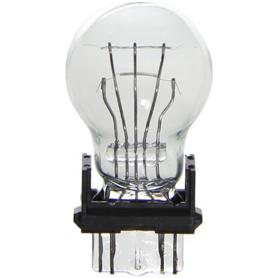Wagner Lighting BP3157 Multi-Purpose Light Bulb