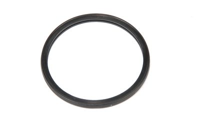 GM Genuine Parts 12680544 Engine Coolant Thermostat Seal
