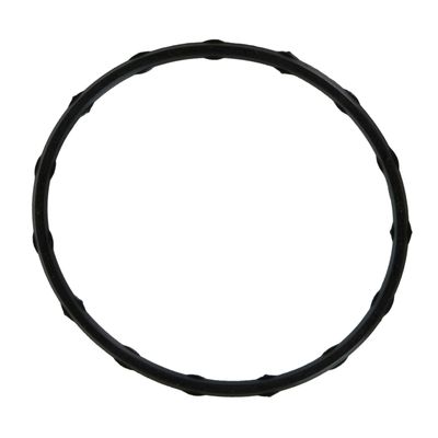 FEL-PRO 72767 Fuel Injection Plenum Gasket Set