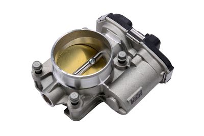 GM Genuine Parts 12694871 Fuel Injection Throttle Body