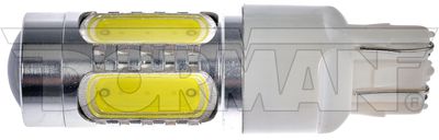 Dorman 7443W-HP Tail Light Bulb