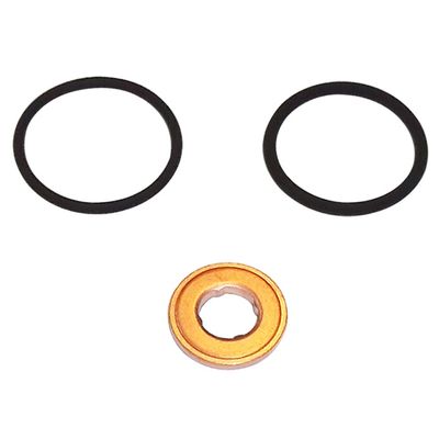 Bostech ISK123 Fuel Injector Seal Kit