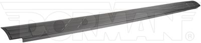 Dorman - OE Solutions 926-919 Truck Bed Side Rail Protector