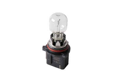 GM Genuine Parts 13582913 Multi-Purpose Light Bulb