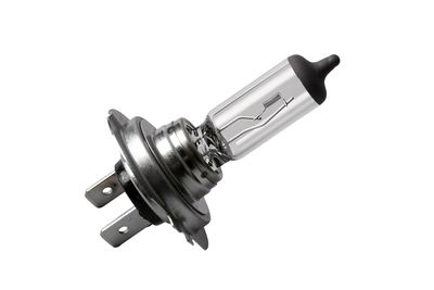 GM Genuine Parts 13503384 Headlight Bulb