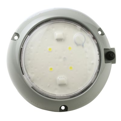 Grote 61171 Dome Light