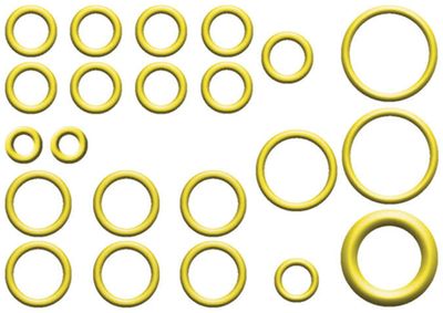 Global Parts Distributors LLC 1321332 A/C System O-Ring and Gasket Kit