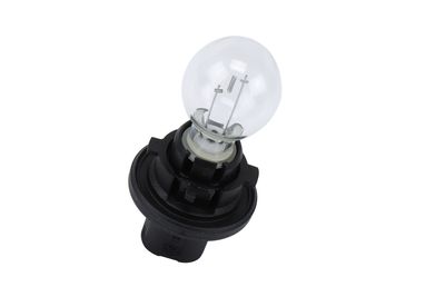 GM Genuine Parts 15938157 Back Up Light Bulb