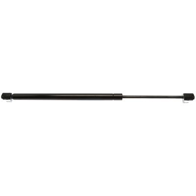 StrongArm D4762 Back Glass Lift Support