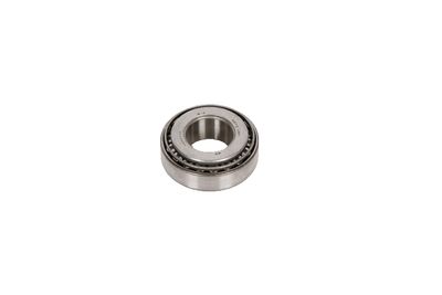 GM Genuine Parts S1393 Differential Pinion Bearing