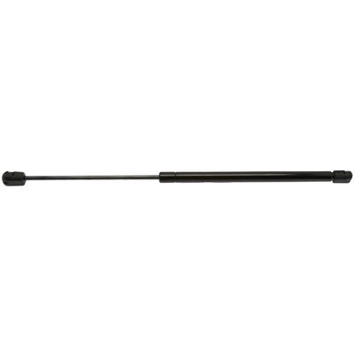 StrongArm D4365 Back Glass Lift Support