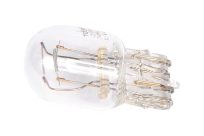 GM Genuine Parts 13591403 Multi-Purpose Light Bulb