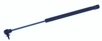 Tuff Support 613581 Back Glass Lift Support