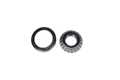 GM Genuine Parts S1389 Differential Pinion Bearing