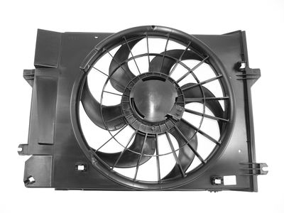 Agility Autoparts 6029136 Dual Radiator and Condenser Fan Assembly