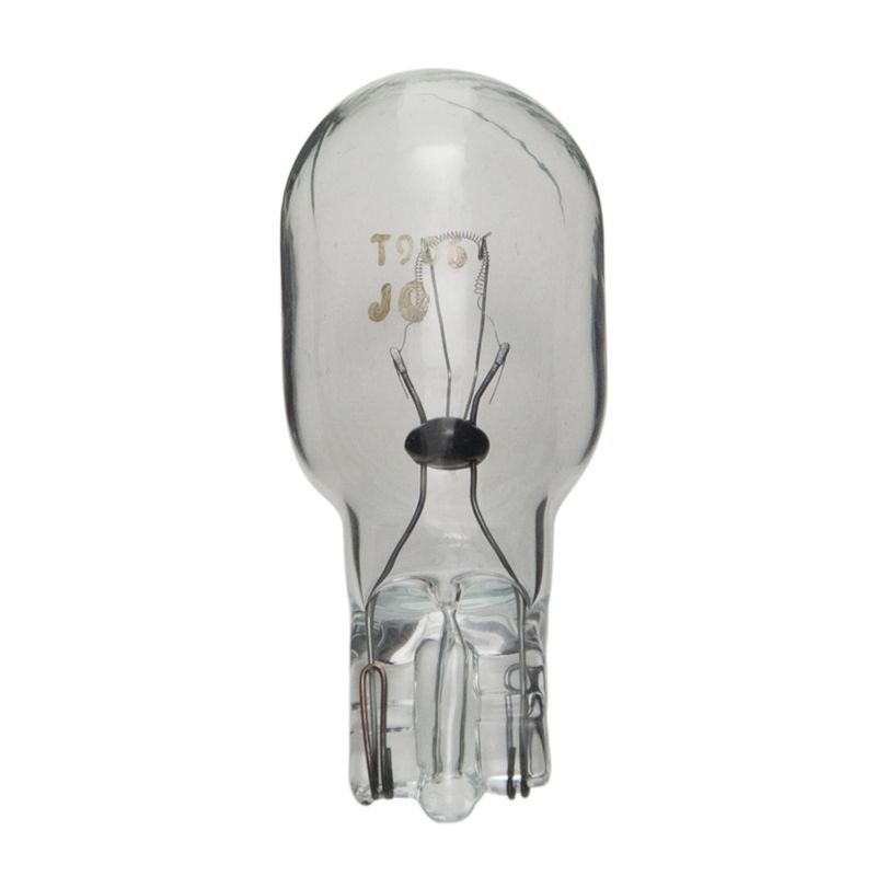 Wagner Lighting 906 Multi-Purpose Light Bulb